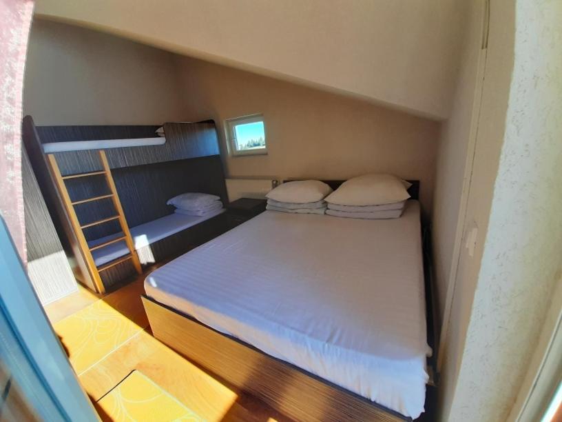 Complex Turistic Casianna & Spa Păltiniş Εξωτερικό φωτογραφία