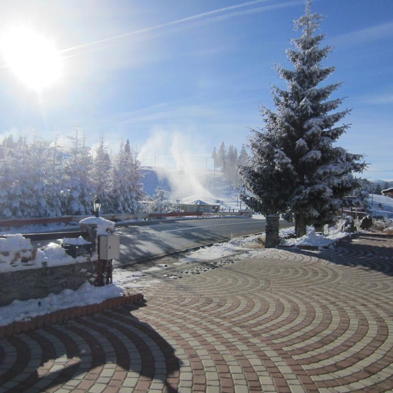 Complex Turistic Casianna & Spa Păltiniş Εξωτερικό φωτογραφία