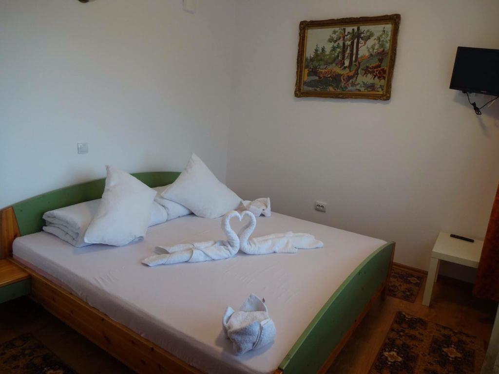 Complex Turistic Casianna & Spa Păltiniş Εξωτερικό φωτογραφία